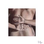 Back of the Hands