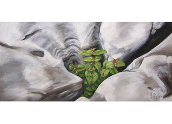 Stonescape 11 61cm x 46cm